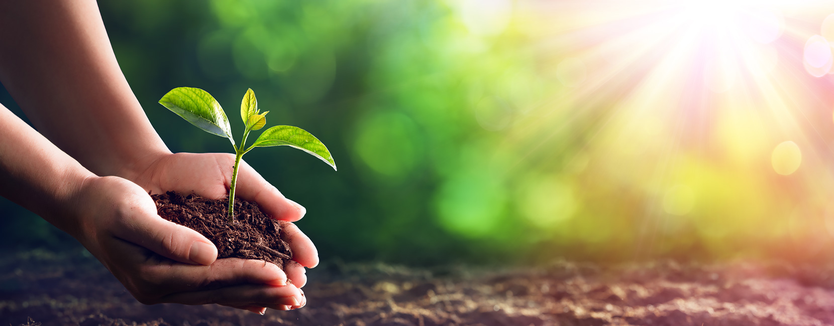 �������ˡ�(�й���) - �ٷ���վ